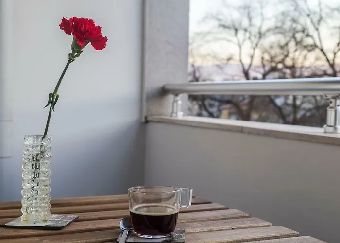 Stunning Location And Views!foothills Of Old Town! Appartement